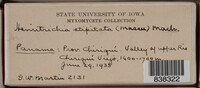 Image Associated With the Occurence